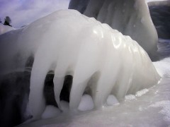 Tentacle Ice